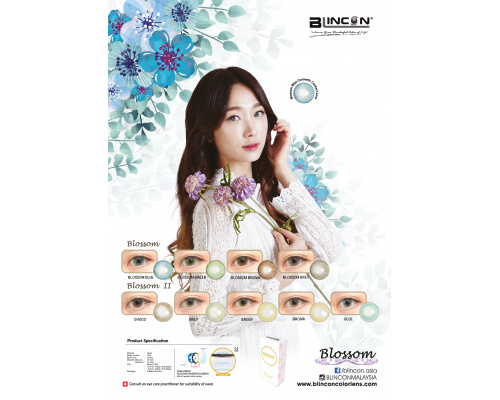 blossom_blincon_booklet_fa